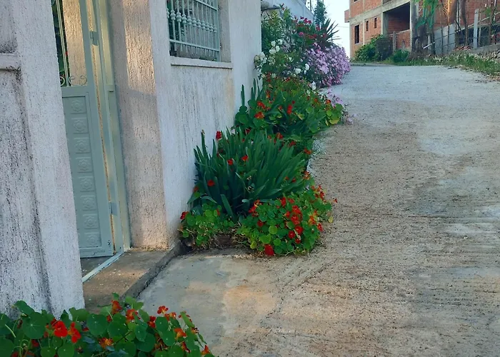 Apartament Sarsed Home, *